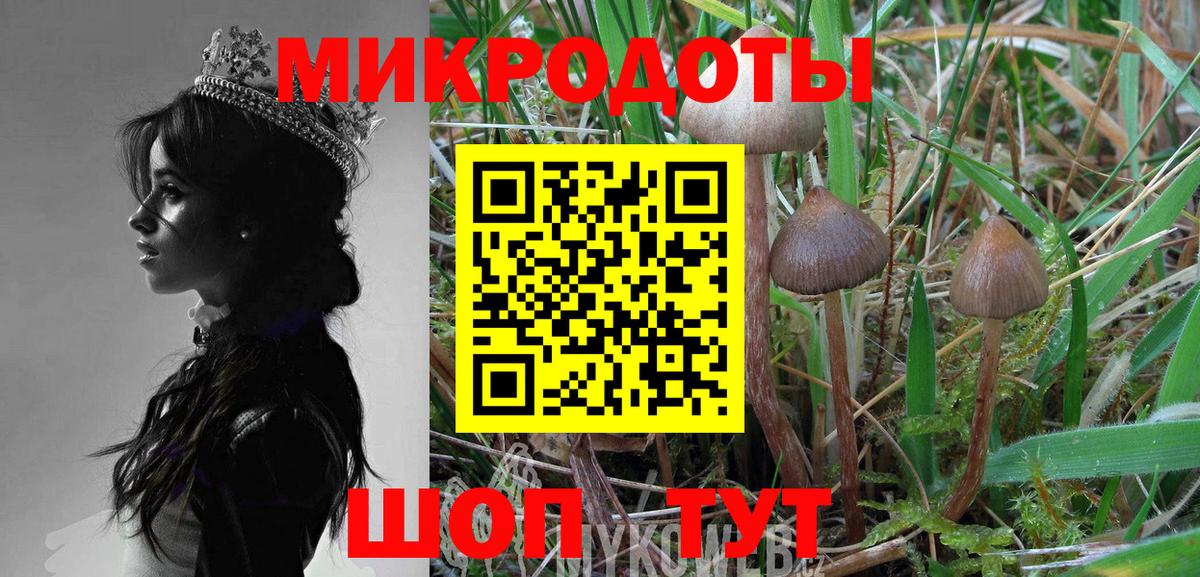 Галлюциногенные грибы Psilocybine cubensis Сибай