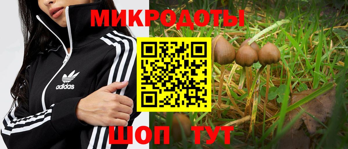 Псилоцибиновые грибы MAGIC MUSHROOMS  Вход с VPN  Сибай 