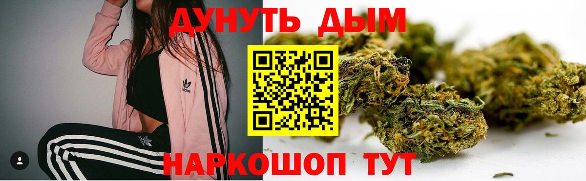 Шишки марихуана гибрид Сибай
